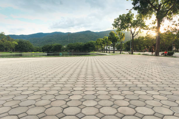 Best Permeable Paver Driveway  in Dunedin, FL